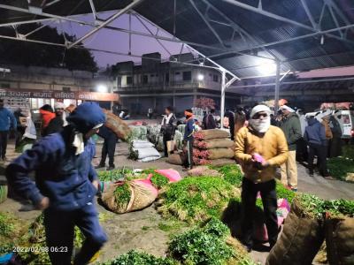 Upabajara Katola Bhajipala Bajara 4