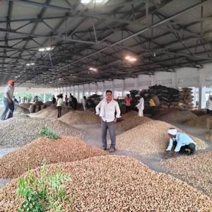 dhannya_bajara_original