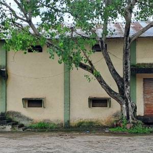 upabajara_katola_godama_original