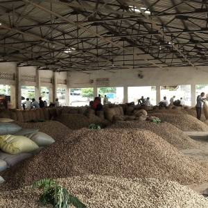 dhannya_bajara_3_original